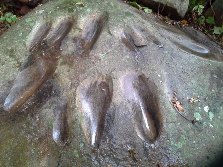 Se dice que en esta roca, afilaban aquel instrumento con el cual moldeaban las piedras para así obtener el petroglifo