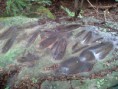 /album/fotogaleria-inicio/a20140924-104528-jpg/