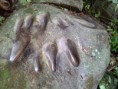/album/fotogaleria-inicio/a20140924-105829-jpg/
